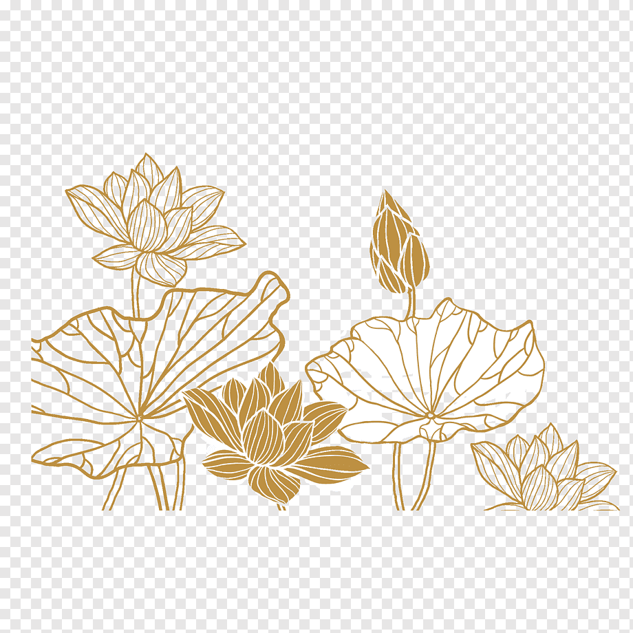 Bông hoa sen PNG tách nền